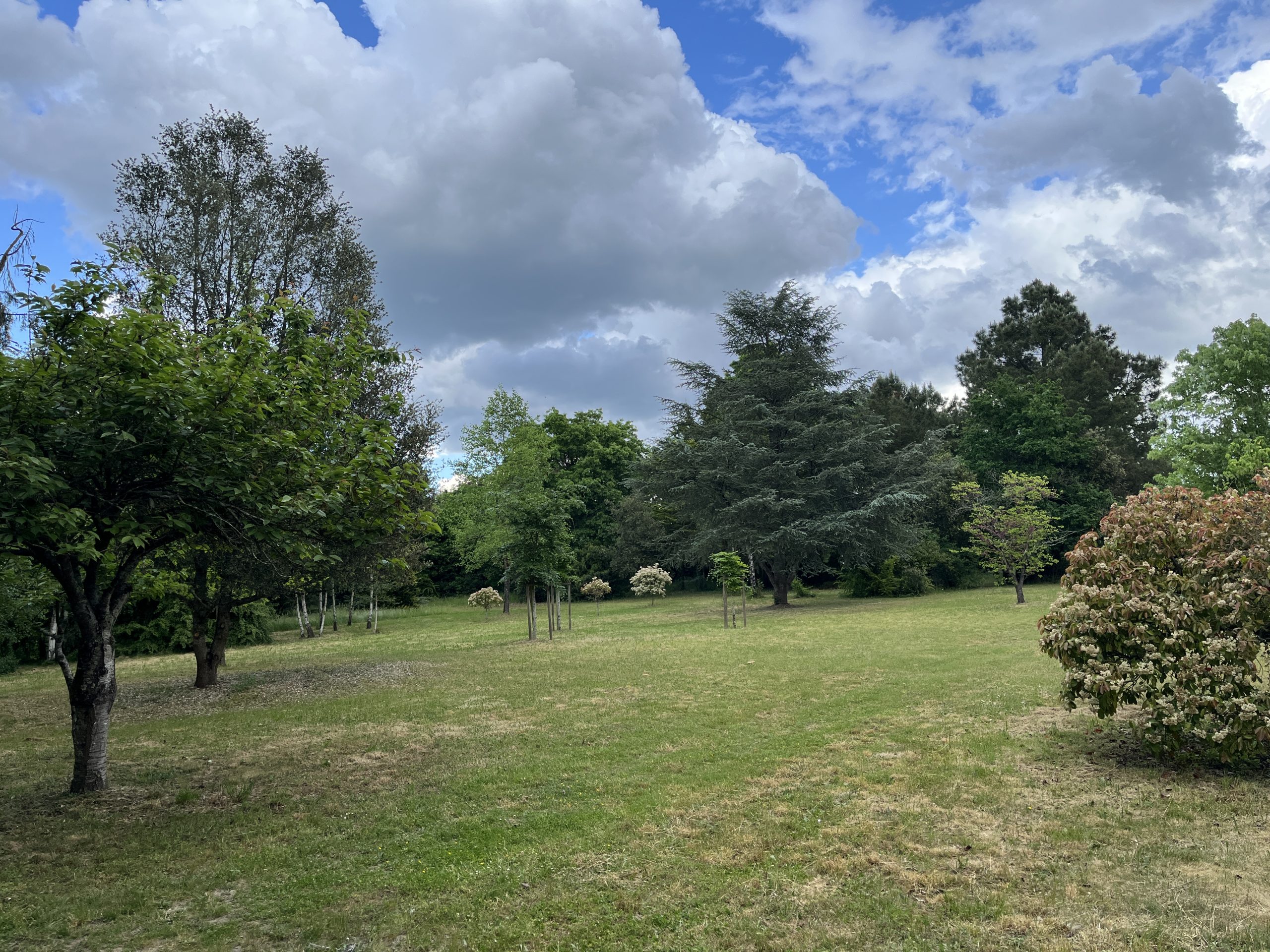 Parc du Rosay