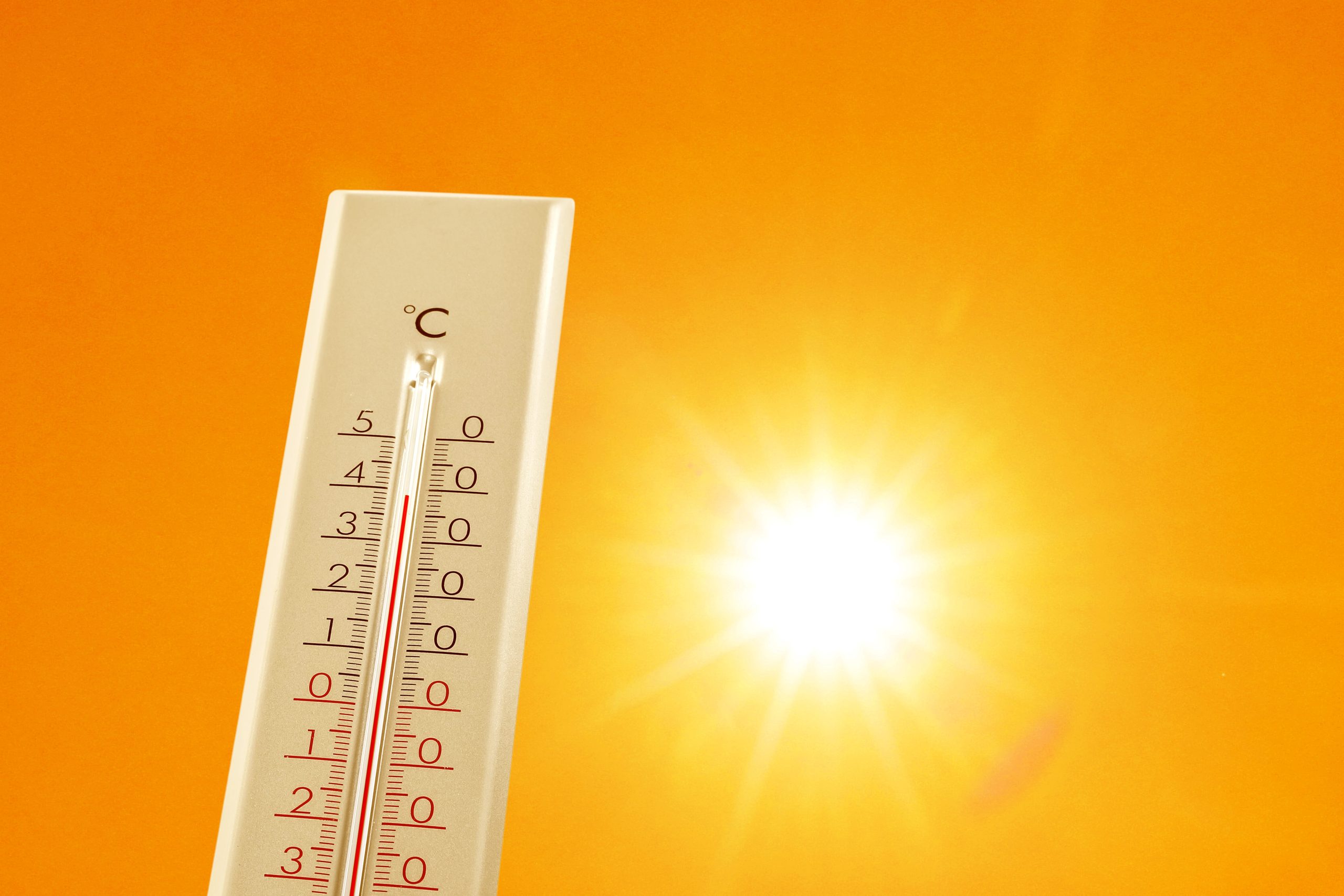 Canicule : les collectivités saboliennes s’adaptent